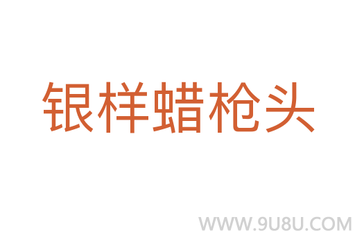 銀樣蠟槍頭