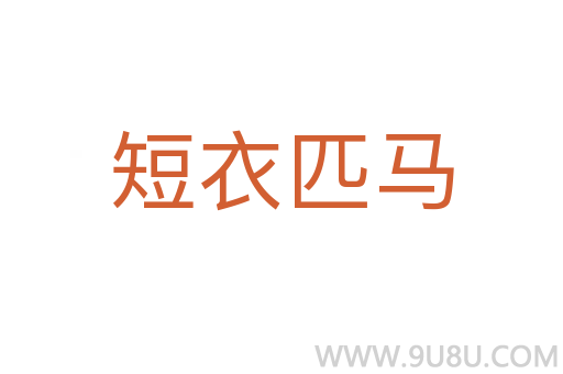 短衣匹馬