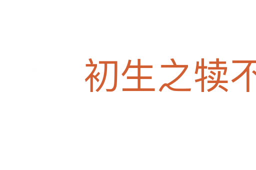 初生之犢不畏虎