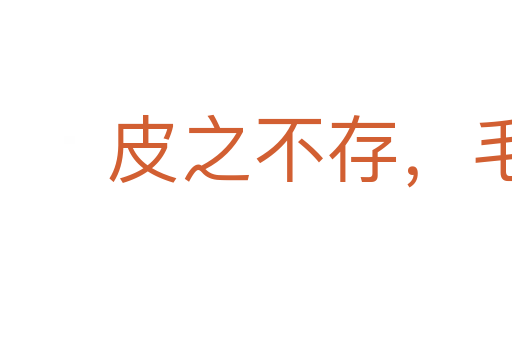 皮之不存,毛將安傅