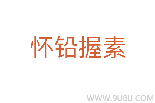 懷鉛握素