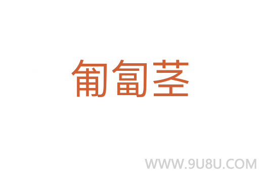 匍匐莖