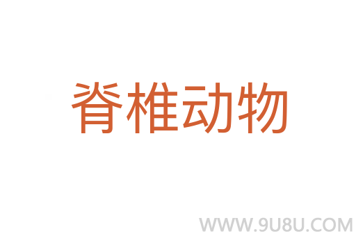 脊椎動物