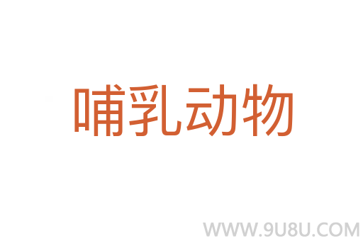 哺乳動物
