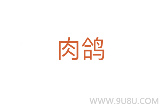 肉鴿