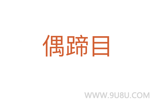 偶蹄目