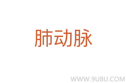 肺動脈