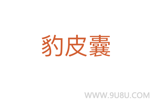 豹皮囊