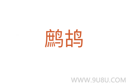 鷓鴣