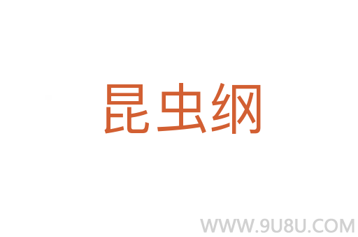 昆蟲綱