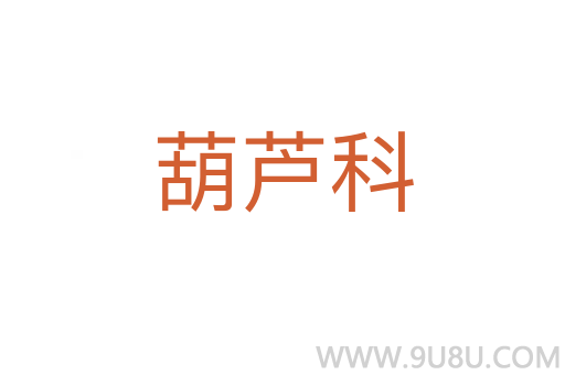 葫蘆科