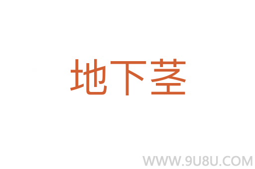 地下莖