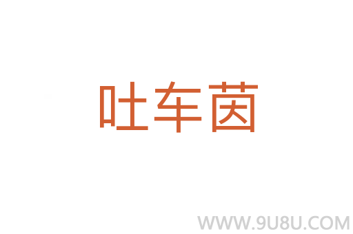 吐車茵