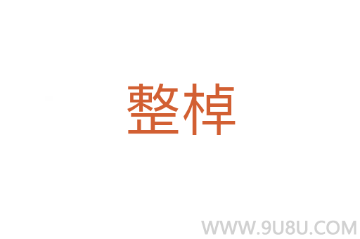 整棹