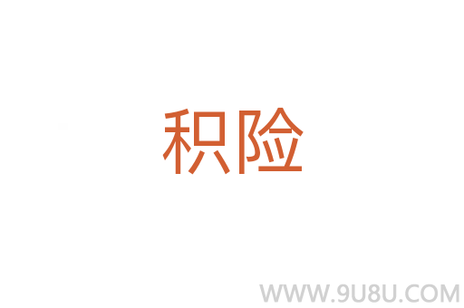 積險