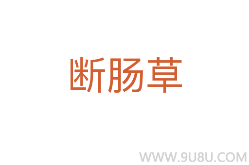 斷腸草