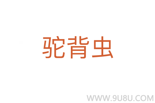 駝背蟲(chóng)