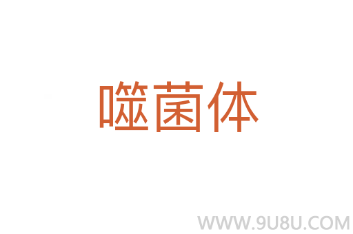 噬菌體
