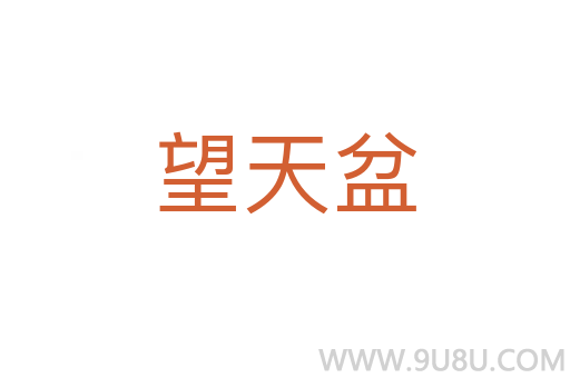 望天盆