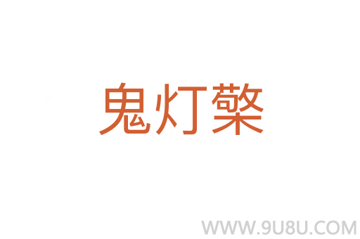 鬼燈檠
