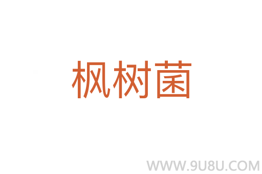 楓樹菌