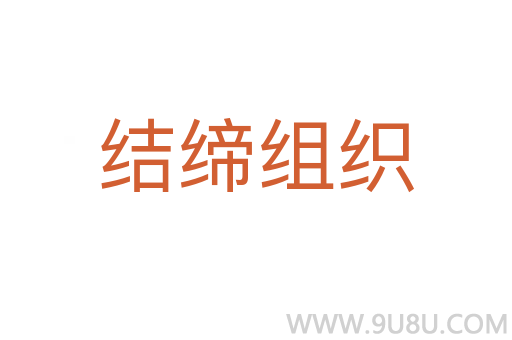 結(jié)締組織