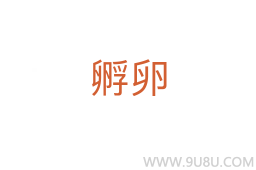 孵卵