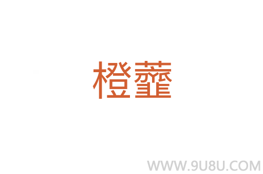 橙虀