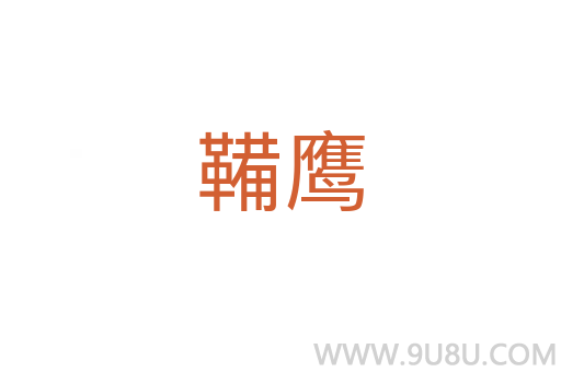 鞴鷹