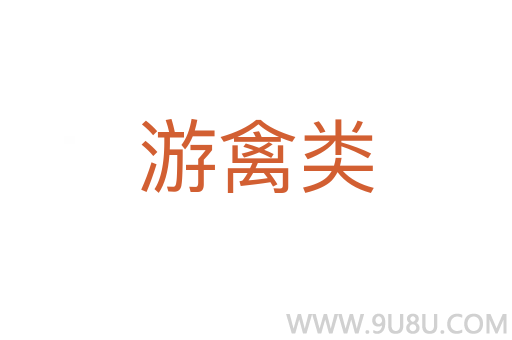 游禽類