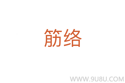 筋絡(luò)