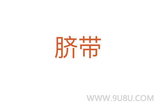 臍帶