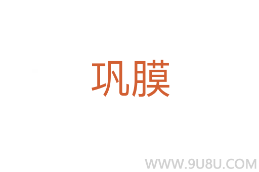 鞏膜