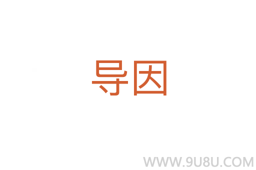 導(dǎo)因