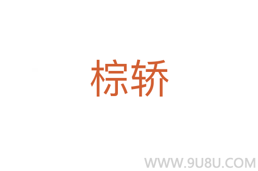 棕轎