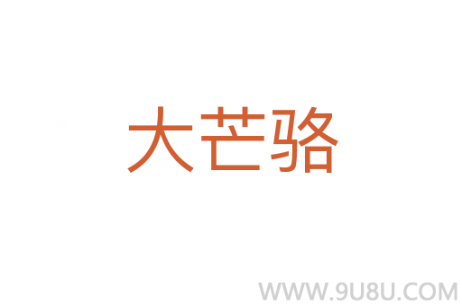 大芒駱