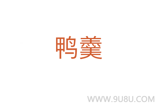 鴨羹