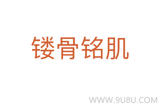 鏤骨銘肌
