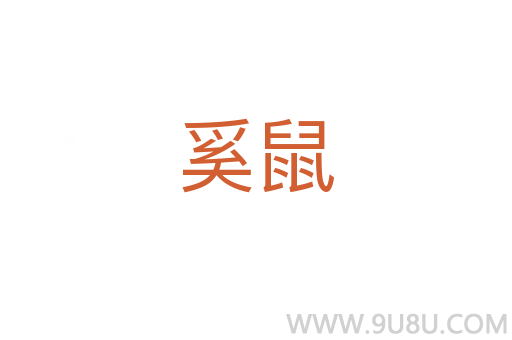 奚鼠