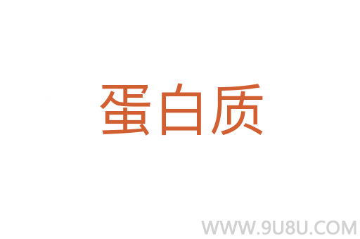 蛋白質(zhì)