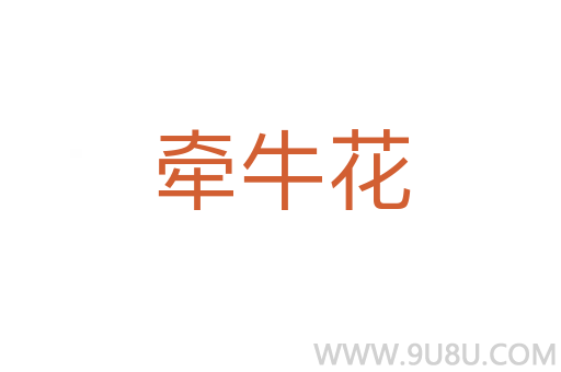 牽?；?></div>
							<h2>詞語解釋</h2><p class=
