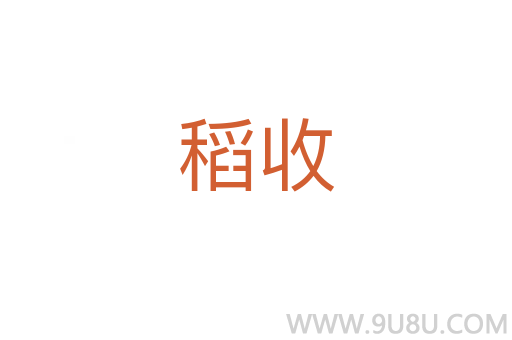 稻收