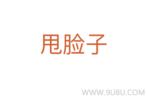 甩臉子