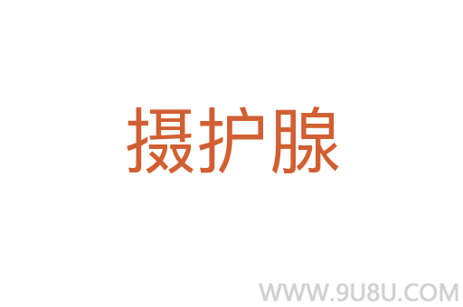 攝護腺