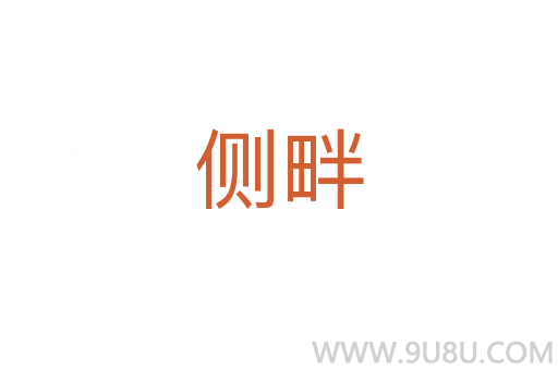 側(cè)畔