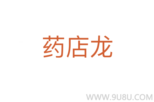 藥店龍