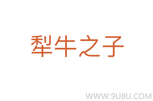犁牛之子