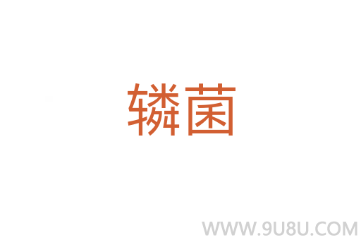 轔菌