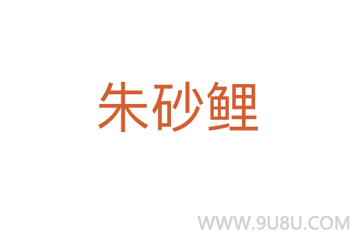 朱砂鯉