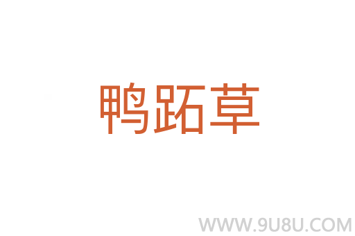 鴨跖草